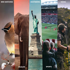 PRAKTICA Falcon 7x35mm Wide Angle Porro Prism Field Binoculars - Black - TOYFACTORY