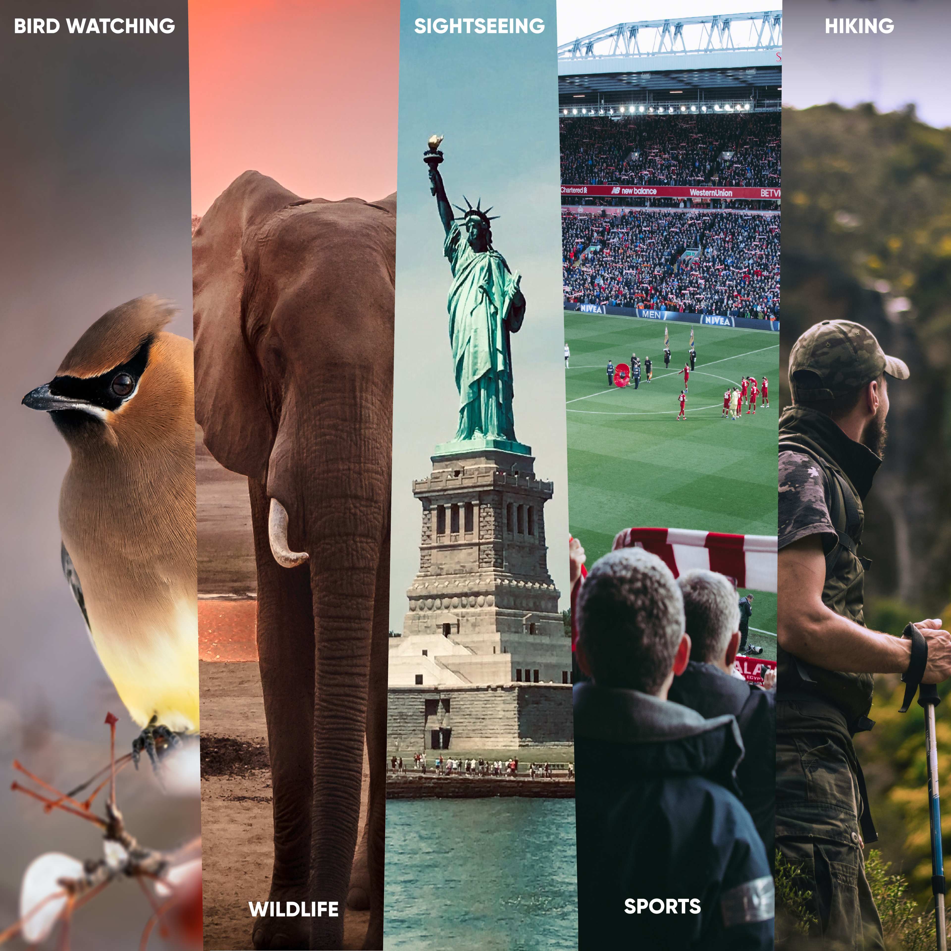 PRAKTICA Falcon 7x35mm Wide Angle Porro Prism Field Binoculars - Black - TOYFACTORY