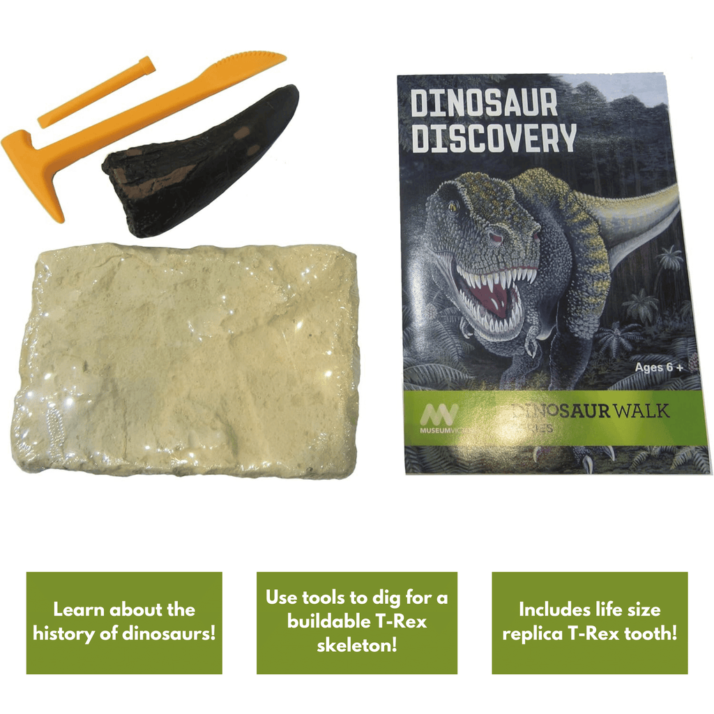Dinosaur Discovery Excavation Kit