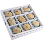 Mosasaur Tooth Fossil Gift Boxed with Information Card (SINGLE UNIT)