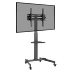 ProperAV Mobile TV Trolley Stand on Wheels for 32" - 55" Screens (35kg Capacity / VESA Max. 400x400) - TOYFACTORY