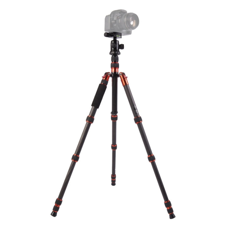 Triopo GT-2505x8.C Adjustable Portable Carbon Fiber Tripod with B-1 Aluminum Ball Head for Canon Nikon Sony DSLR Camera, GT-2505x8.C (Black), GT-2505x8.C (Gold) - TOYFACTORY