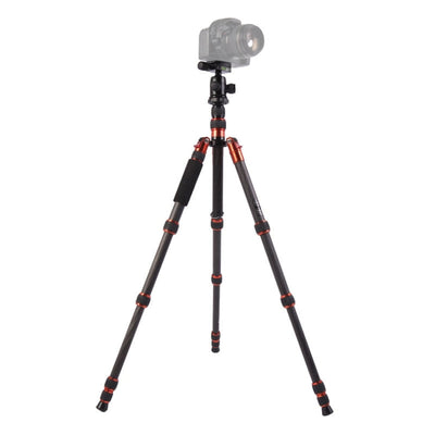 Triopo GT-2505x8.C Adjustable Portable Carbon Fiber Tripod with B-1 Aluminum Ball Head for Canon Nikon Sony DSLR Camera, GT-2505x8.C (Black), GT-2505x8.C (Gold) - TOYFACTORY