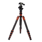 Triopo GT-2505x8.C Adjustable Portable Carbon Fiber Tripod with B-1 Aluminum Ball Head for Canon Nikon Sony DSLR Camera, GT-2505x8.C (Black), GT-2505x8.C (Gold) - TOYFACTORY