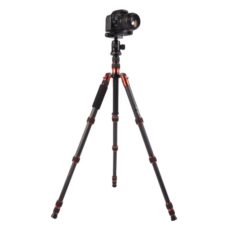 Triopo GT-2505x8.C Adjustable Portable Carbon Fiber Tripod with B-1 Aluminum Ball Head for Canon Nikon Sony DSLR Camera, GT-2505x8.C (Black), GT-2505x8.C (Gold) - TOYFACTORY