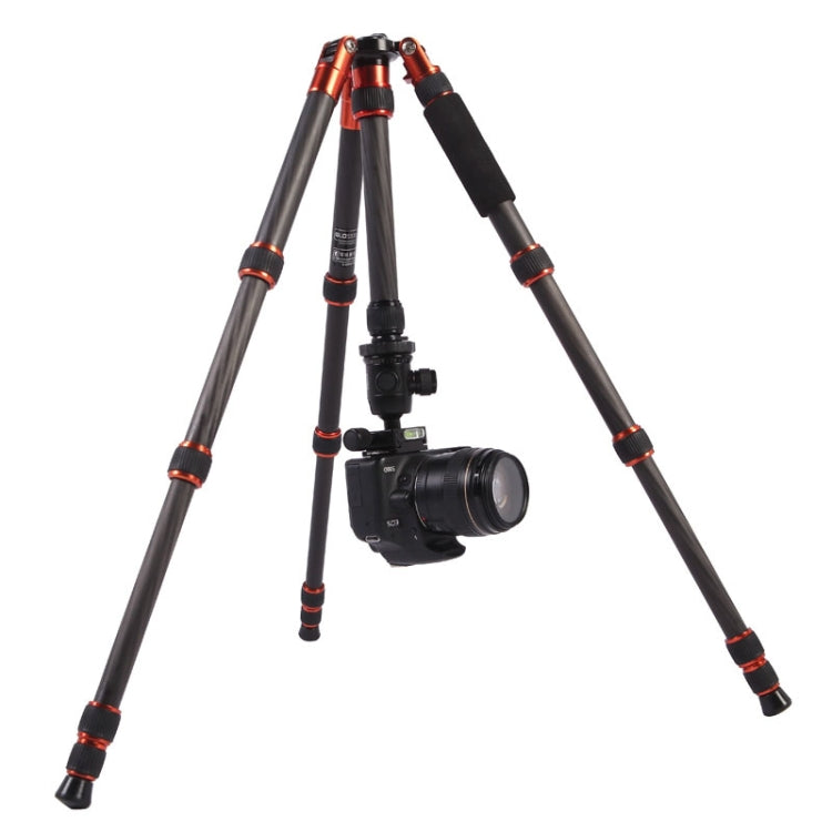 Triopo GT-2505x8.C Adjustable Portable Carbon Fiber Tripod with B-1 Aluminum Ball Head for Canon Nikon Sony DSLR Camera, GT-2505x8.C (Black), GT-2505x8.C (Gold) - TOYFACTORY