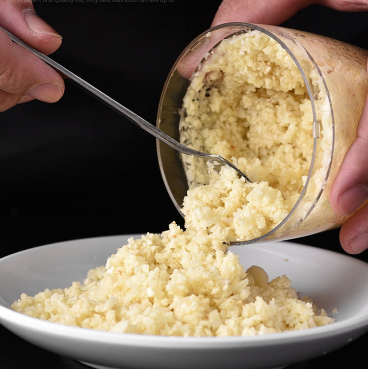 304 Stainless Steel Pressing Mincer Household Multifunctional Vegetable Cutter Pounding Garlic - TOYFACTORY