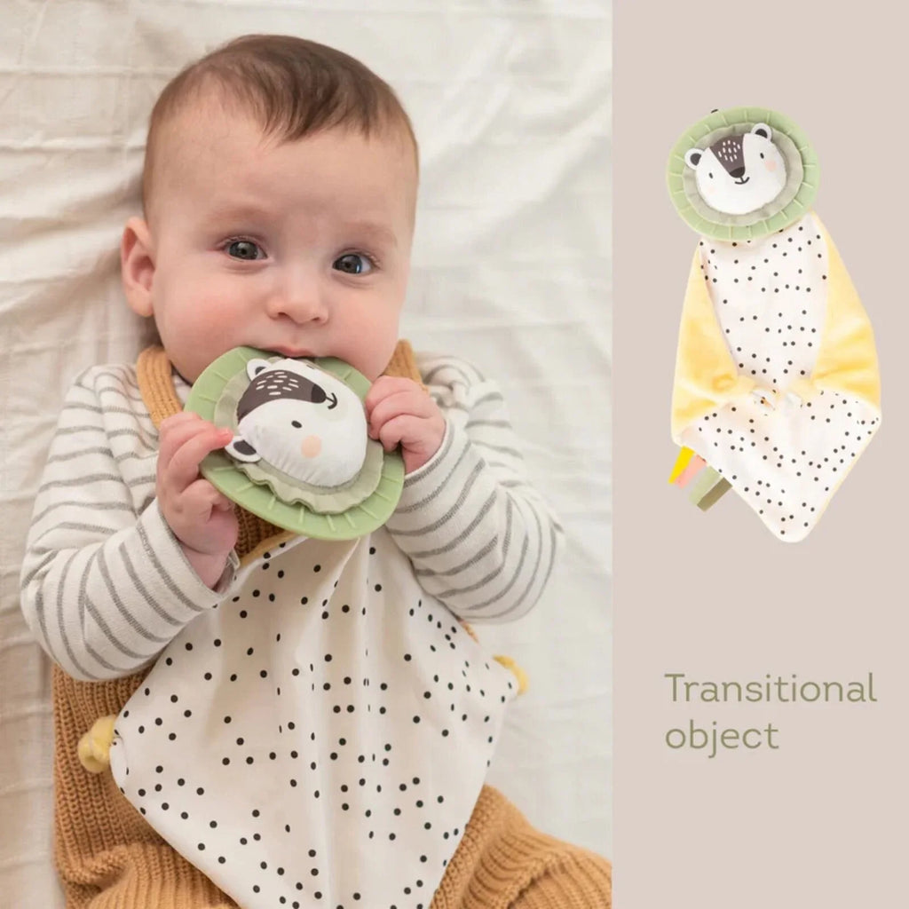 Taf Toys Newborn Play & Develop Kit - TOYFACTORY