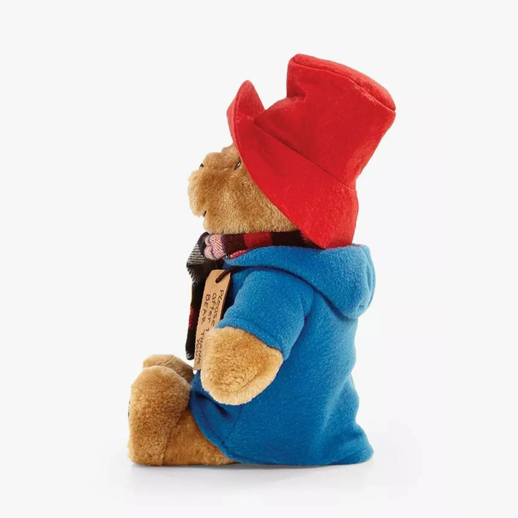 Paddington with Scarf